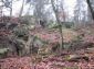 2006 12 17 AvonPM29 .jpg